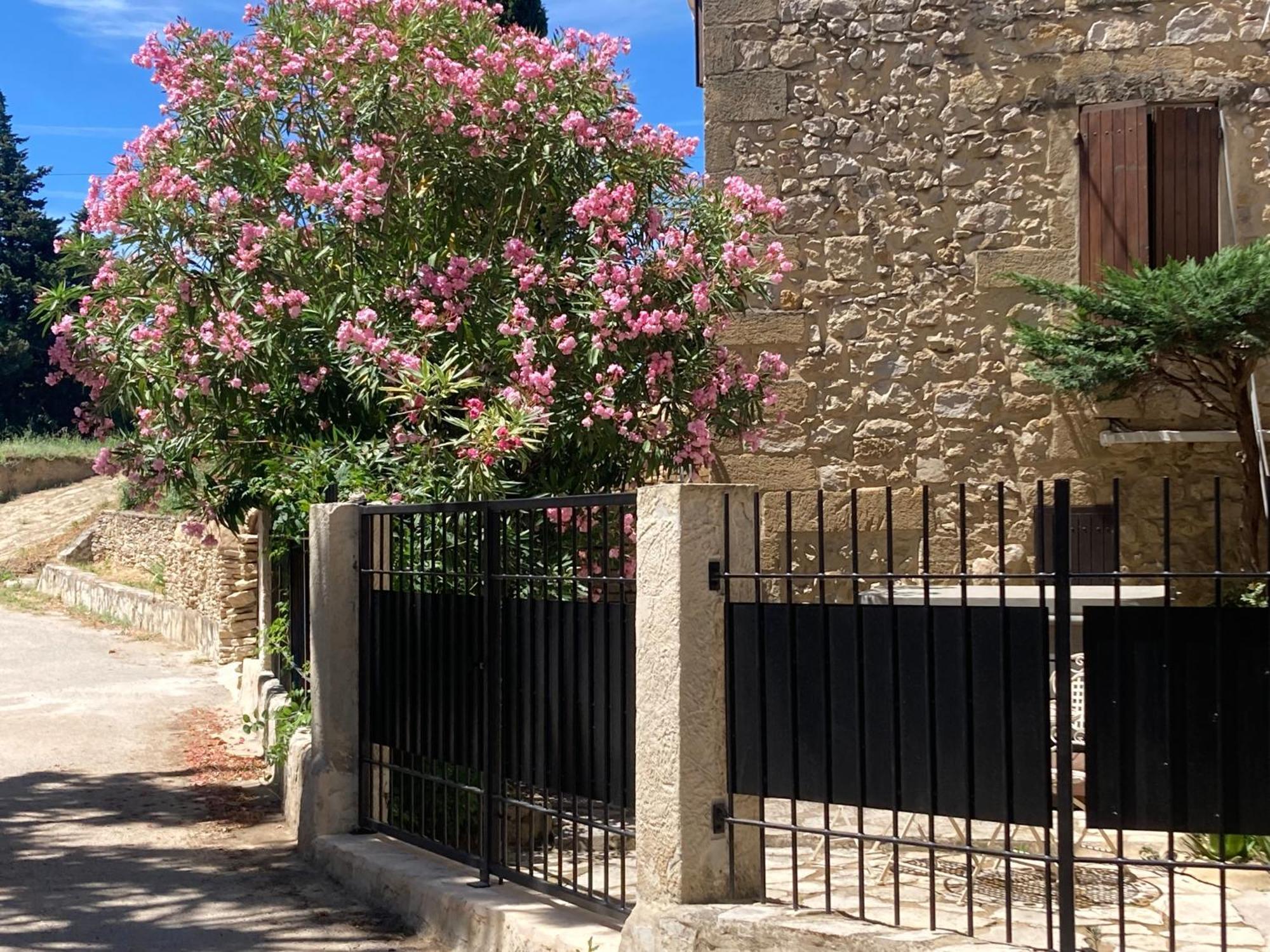Le Studio D Aurelie Avec Spa Ete En Pleine Campagne Et Proche De Toute Commodite Roquemaure  Exterior foto